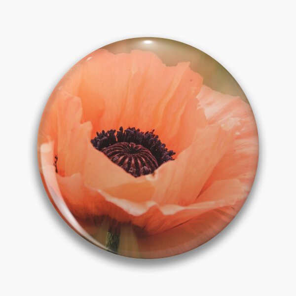 Item preview, Soft Pink Poppy designed and sold by LudaNayvelt.