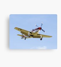 Cavalier Mustang 2 Canvas Print