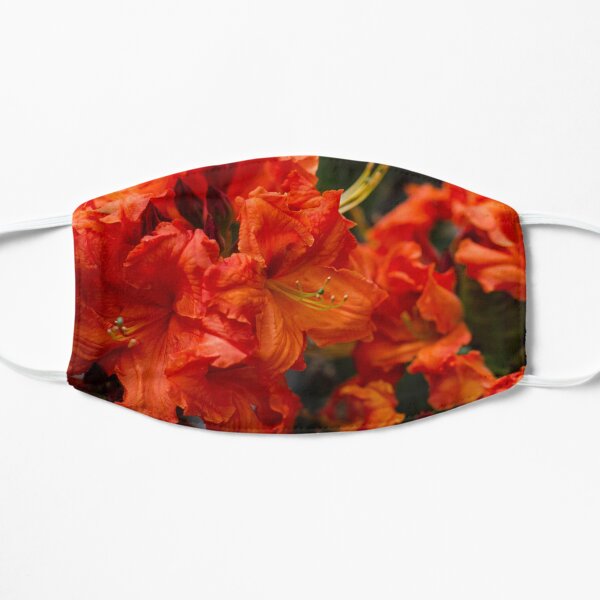 "Quenching the fire" Mask
