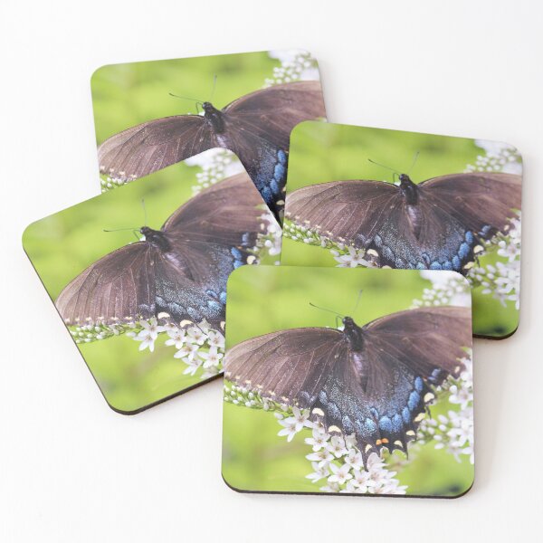 Item preview, Butterfly designed and sold by Islandjunkie09.