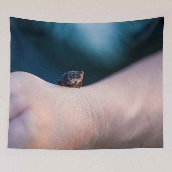 Item preview, Baby Frog designed and sold by macymuirhead.