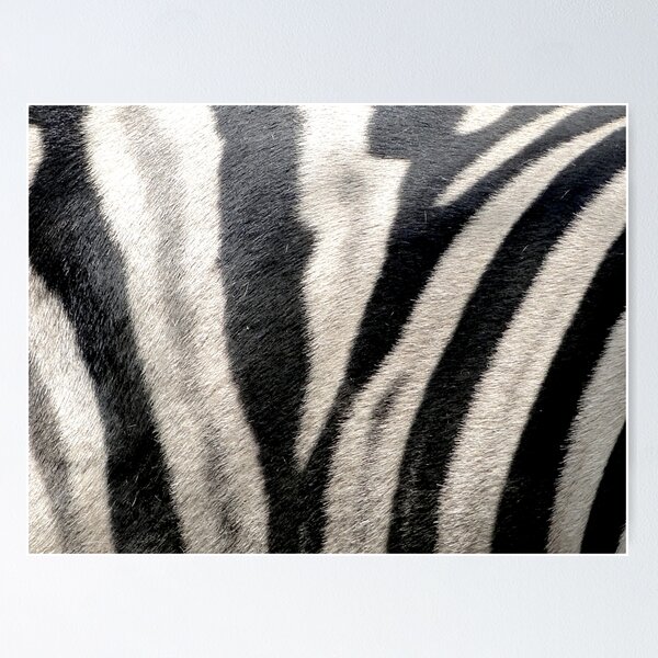Item preview, Zebra Stripes designed and sold by rocketfoot7.