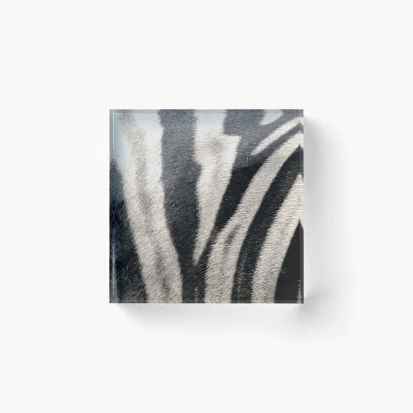 Item preview, Zebra Stripes designed and sold by rocketfoot7.