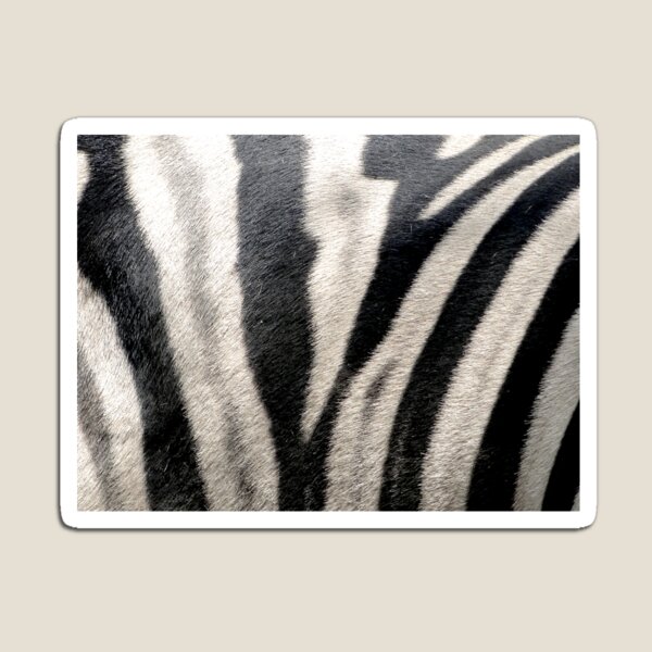 Item preview, Zebra Stripes designed and sold by rocketfoot7.