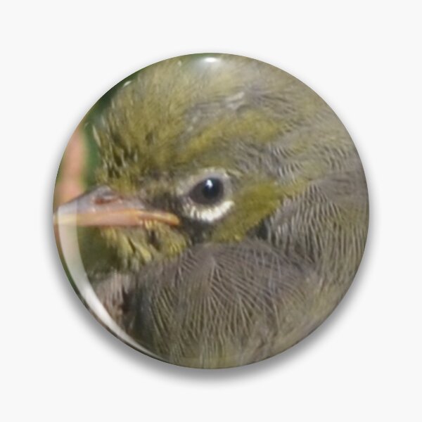Item preview, Silvereye close-up designed and sold by lizdomett.