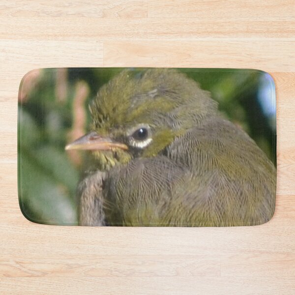 Item preview, Silvereye close-up designed and sold by lizdomett.