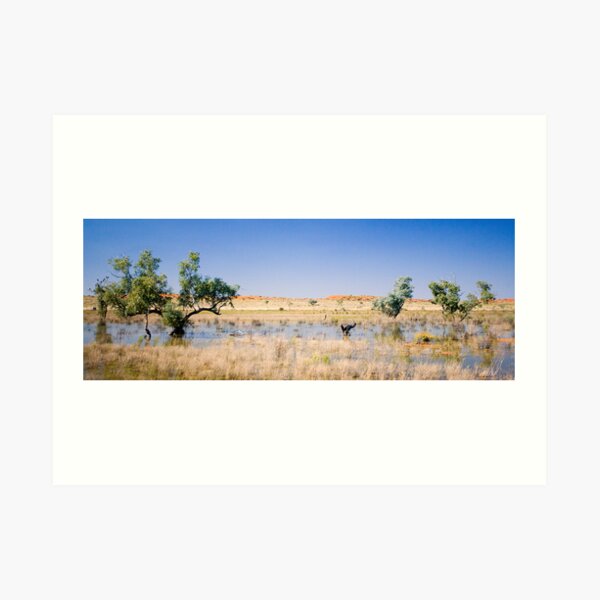 Art Print