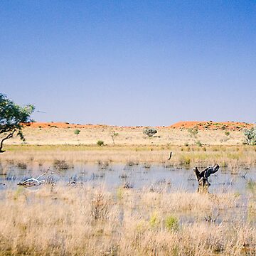 Artwork thumbnail, Desert Lagoon by Richard Windeyer