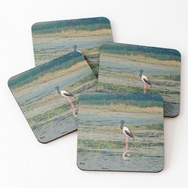 Item preview, Black-necked Stork in Bharatpur designed and sold by photograham.