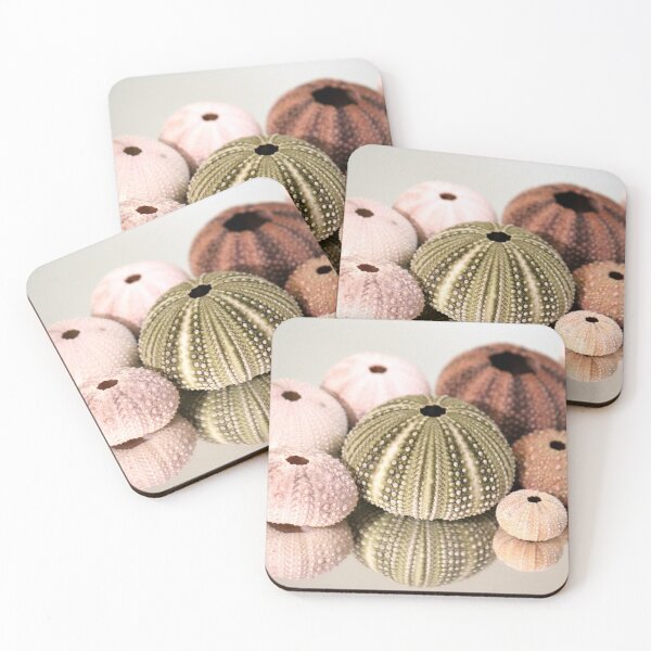 Item preview, Sea Urchin designed and sold by Islandjunkie09.