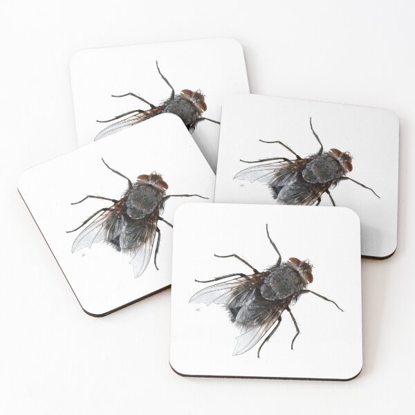 Item preview, The lowly housefly or house fly. Bugs ya doesn't it. designed and sold by Pennylanemerch.