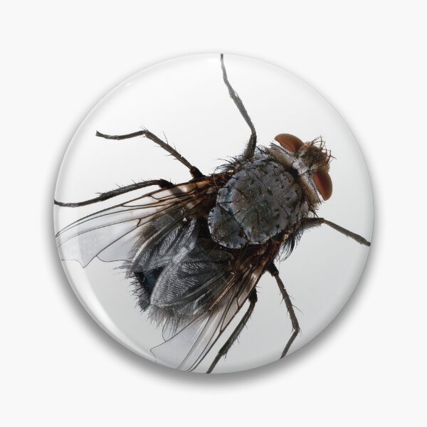 Item preview, The lowly housefly or house fly. Bugs ya doesn't it. designed and sold by Pennylanemerch.