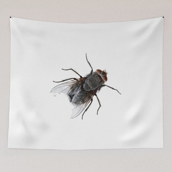 Item preview, The lowly housefly or house fly. Bugs ya doesn't it. designed and sold by Pennylanemerch.