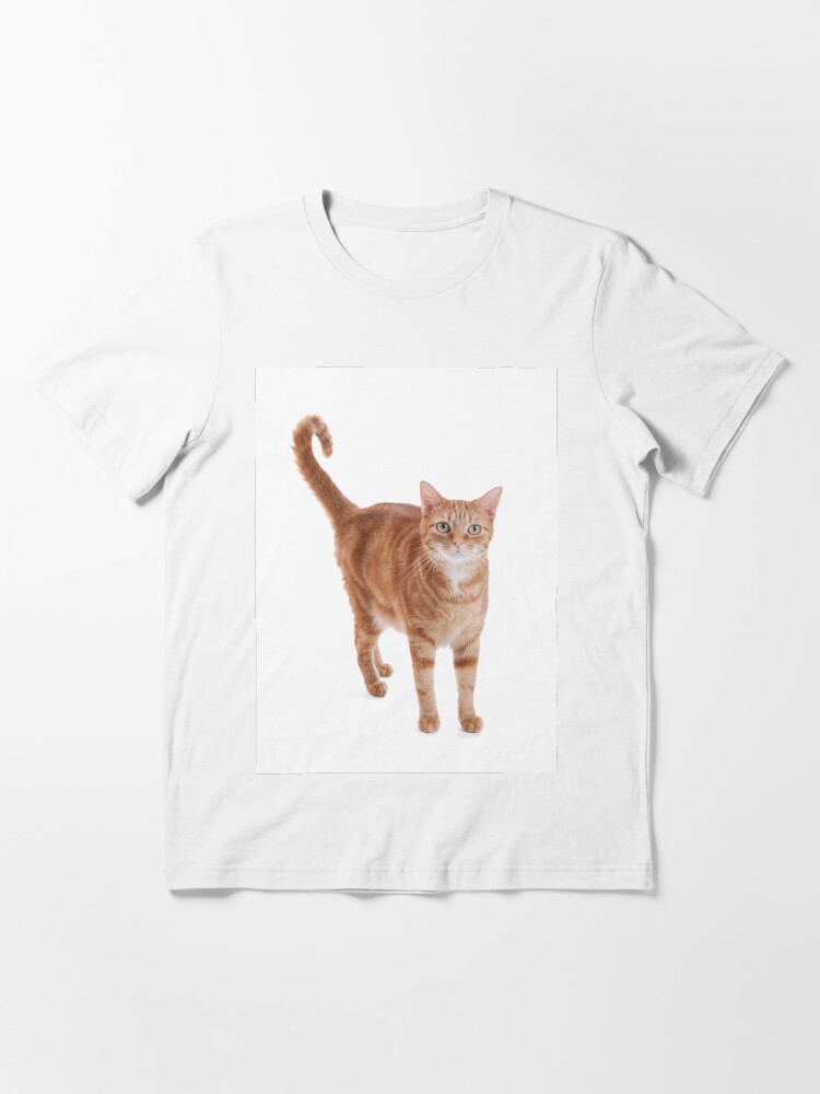 tabby cat t shirt