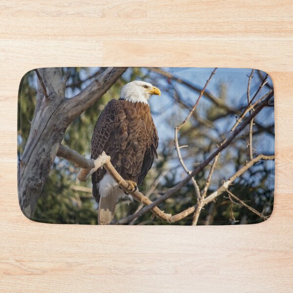 Item preview, American Bald Eagle designed and sold by KPcaptures.