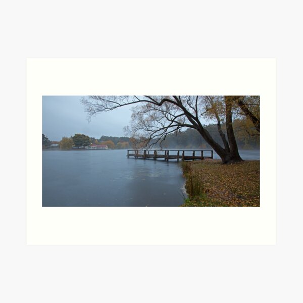 Autumn Morning - Lake Daylesford Art Print