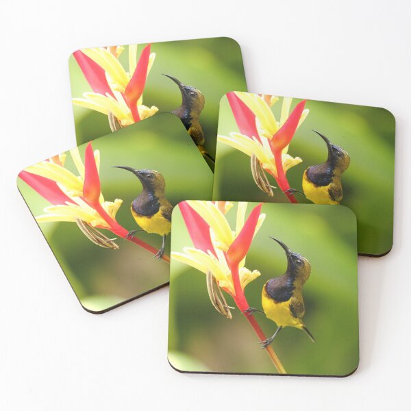 Item preview, The Sunniest of Birds designed and sold by CBoyle.