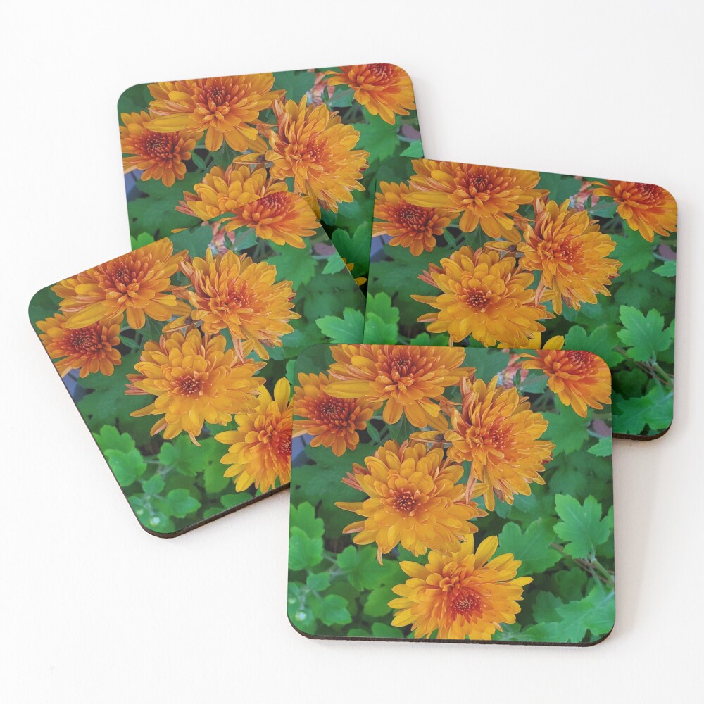 Item preview, Coasters (Set of 4) designed and sold by dreamie09.