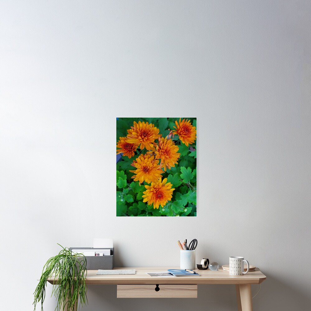 Item preview, Poster designed and sold by dreamie09.