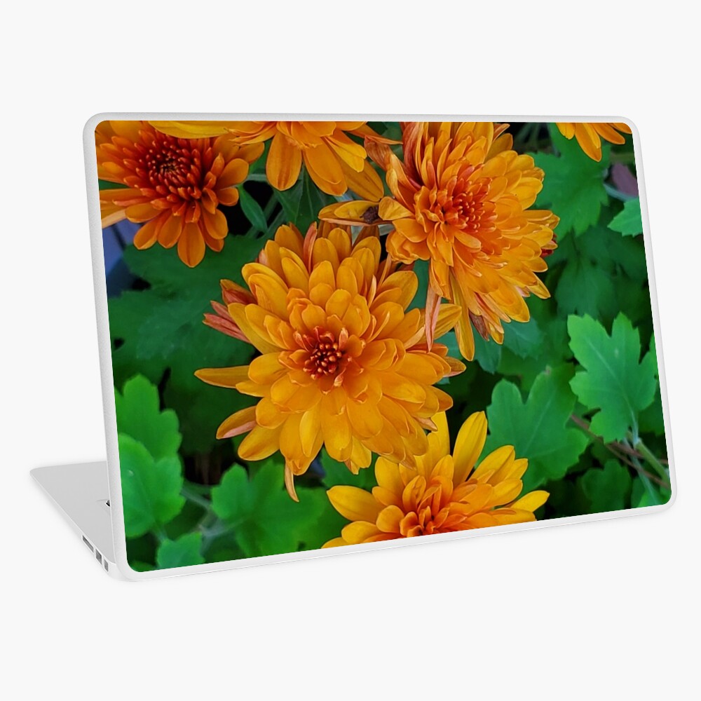 Item preview, Laptop Skin designed and sold by dreamie09.