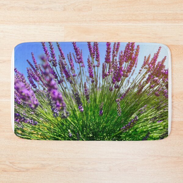 Item preview, Lavender fiels of Valensole designed and sold by Gaël FONTAINE.