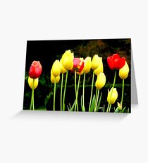 Togetherness Greeting Card