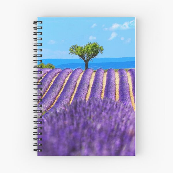 Item preview, Lavender fiels of Valensole designed and sold by Gaël FONTAINE.