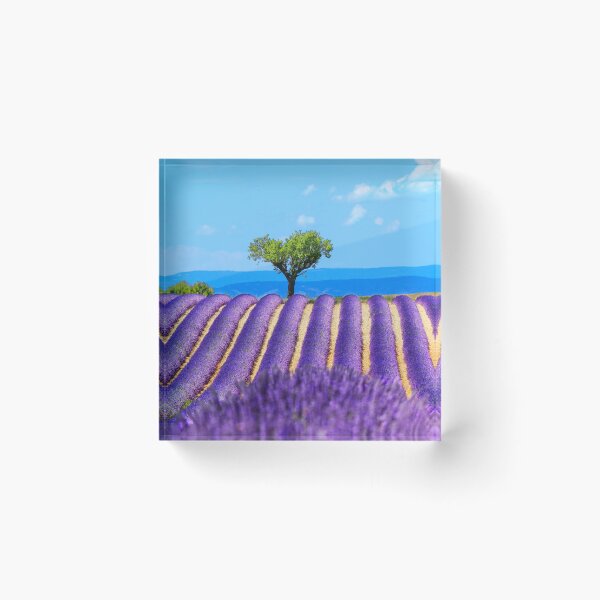 Item preview, Lavender fiels of Valensole designed and sold by Gaël FONTAINE.