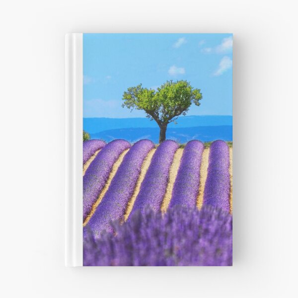 Item preview, Lavender fiels of Valensole designed and sold by Gaël FONTAINE.