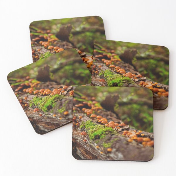 Item preview, Autumn signs designed and sold by carolmaia.