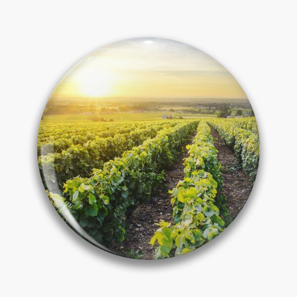 Item preview, Vineyards of Beaujolais at sunset designed and sold by Gaël FONTAINE.
