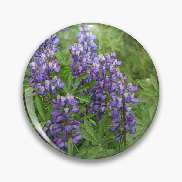Item preview, Purple Lupines - Wildflowers designed and sold by NaturePrints.