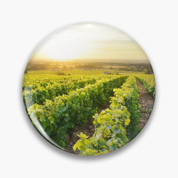Item preview, Vineyards of Beaujolais at sunrise designed and sold by Gaël FONTAINE.