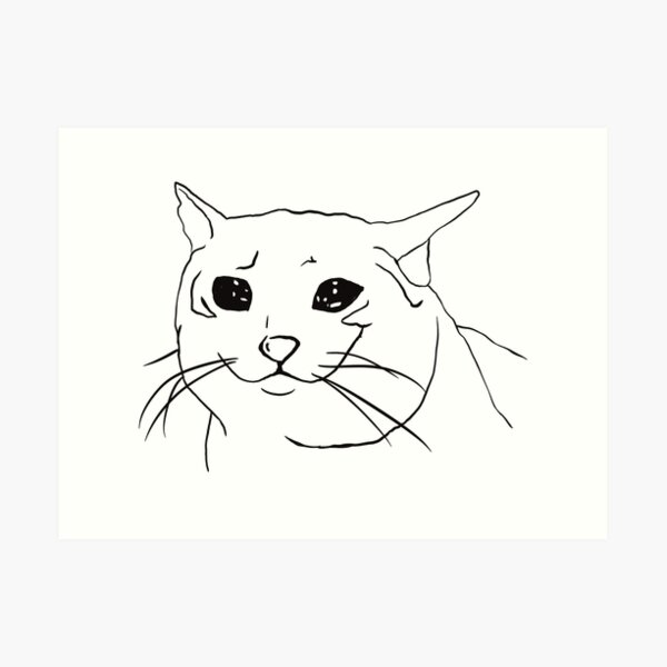 An image of the classic crying cat meme printed on anything you want to  purchase:). Thank you, money goes towards colleg…