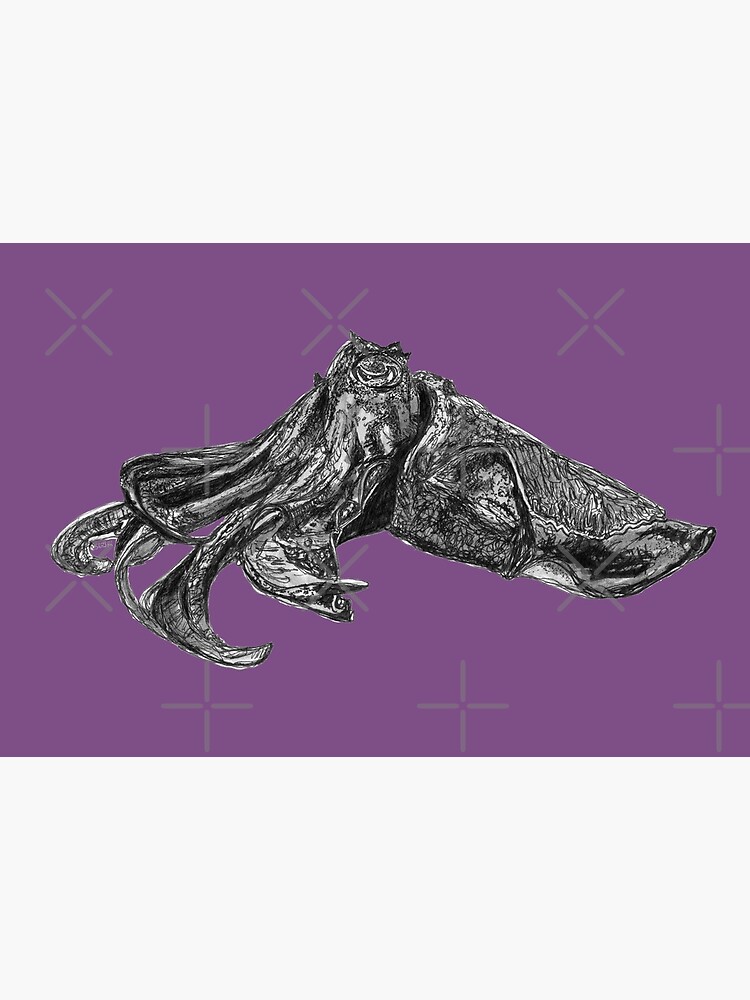 Clive the Cuttlefish by Wildcard-Sue