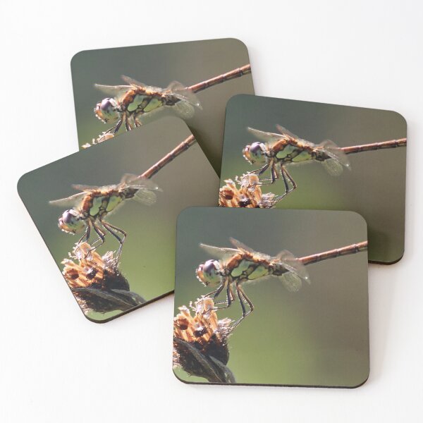 Item preview, dragonfly designed and sold by tammy mellor.