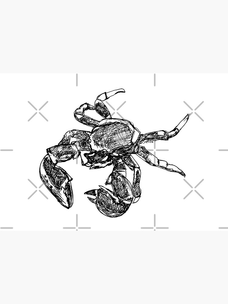 Maria the Crab by Wildcard-Sue