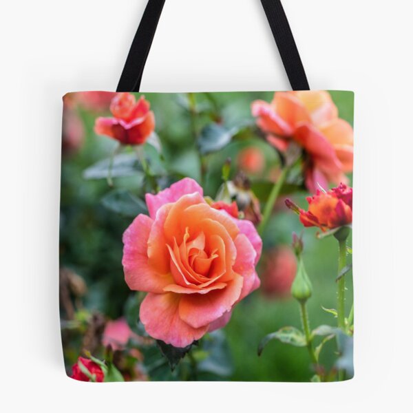 Artikelvorschau, Rio Samba Rose entworfen und verkauft von Amy Louhela.