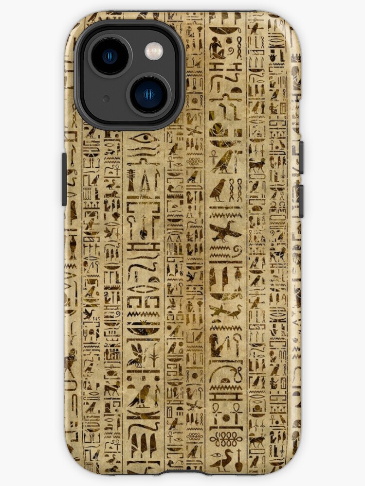 Egyptian hieroglyphs on papyrus