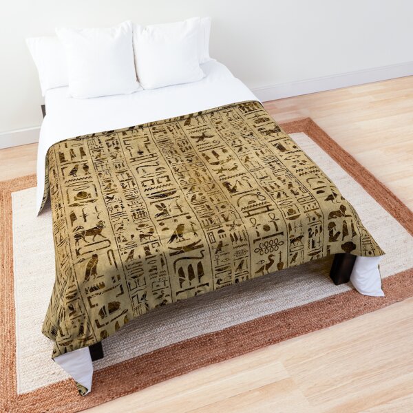 Egyptian hieroglyphs on papyrus Comforter