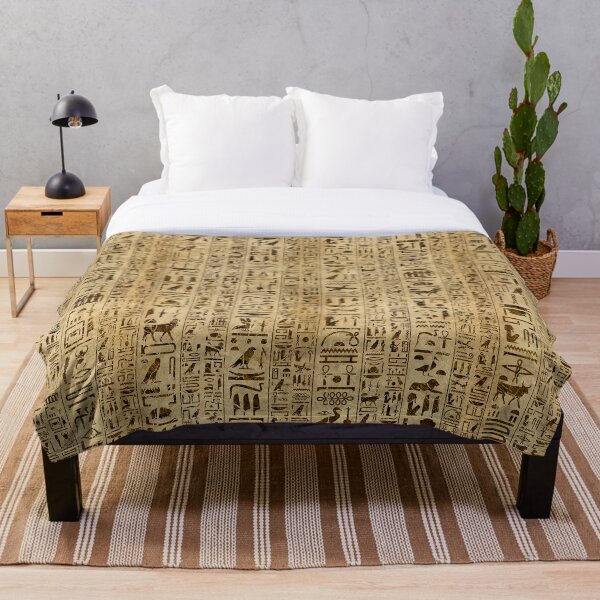 Egyptian hieroglyphs on papyrus Throw Blanket
