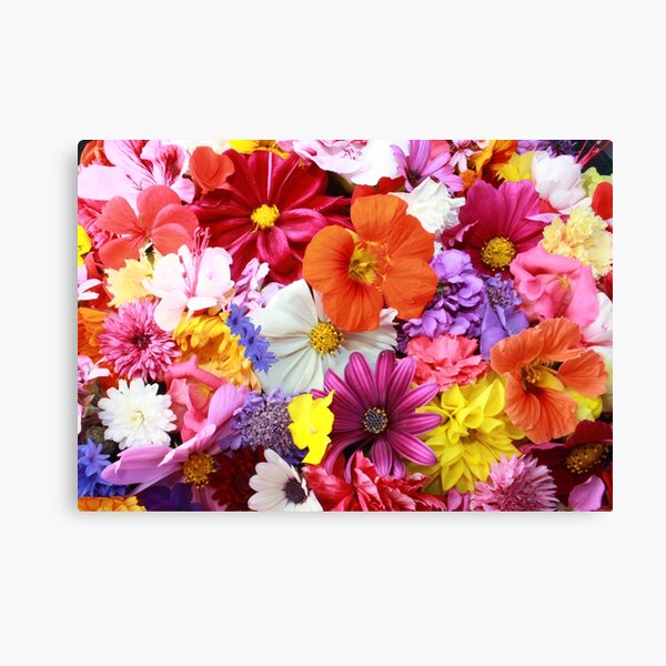 Flowers Canvas Print