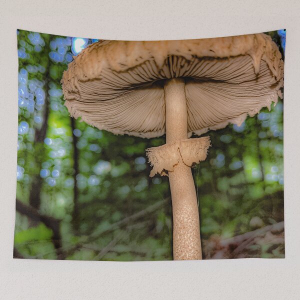 Item preview, Faerie View designed and sold by giftoftradition.