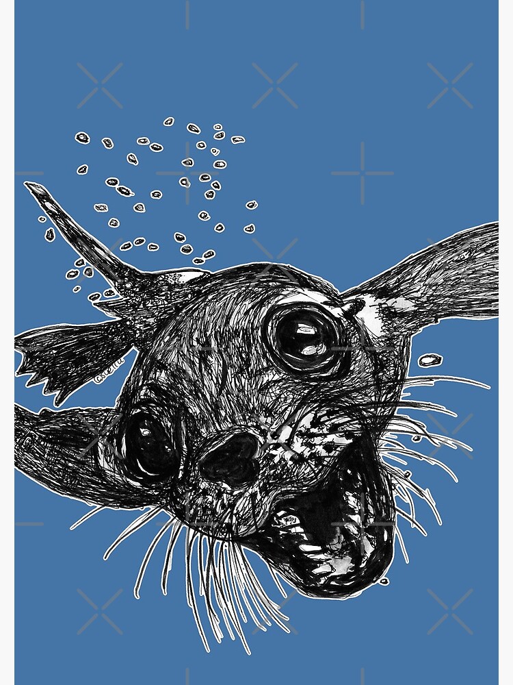 Dom the Australian Fur Seal by Wildcard-Sue