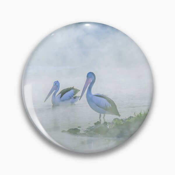 Pelicans in the Fog Pin