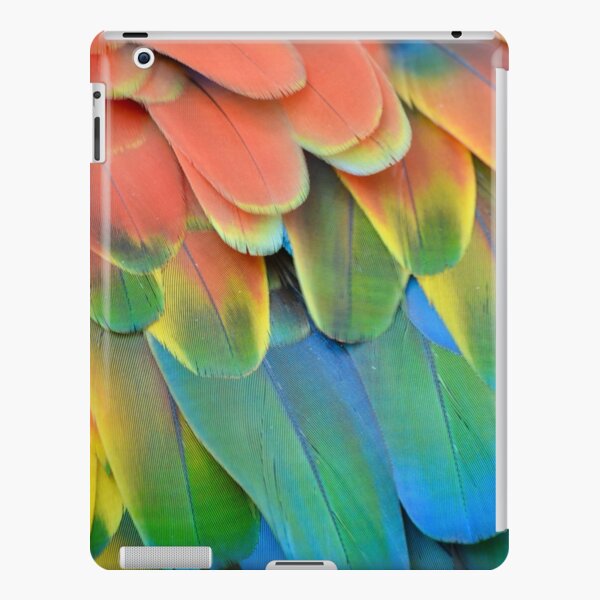 Midnight Green Eagles Philly | iPad Case & Skin