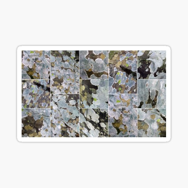 Item preview, lichen designed and sold by KathleenDawson.