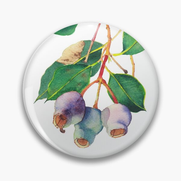 Item preview, Eucalyptus branch with gumnuts - watercolour designed and sold by Zoya Makarova.