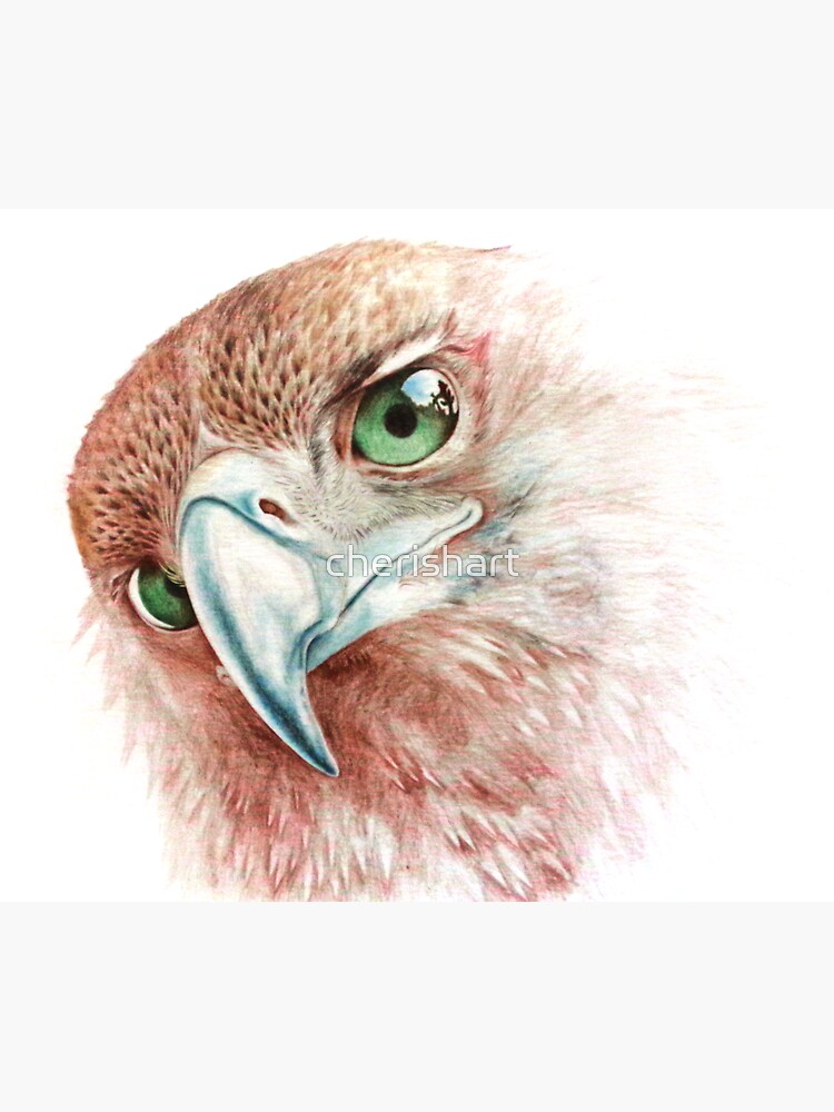 Wedge-Tailed Eagle by cherishart
