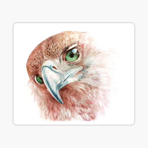 Wedge-Tailed Eagle Sticker